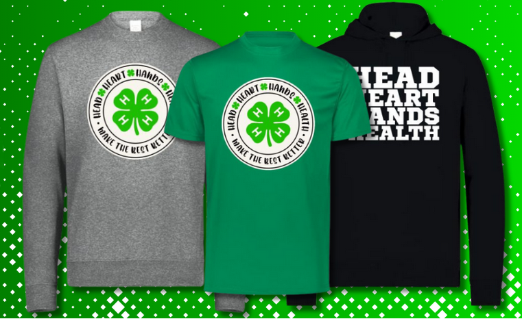 Fall 2025 High School Clubs example