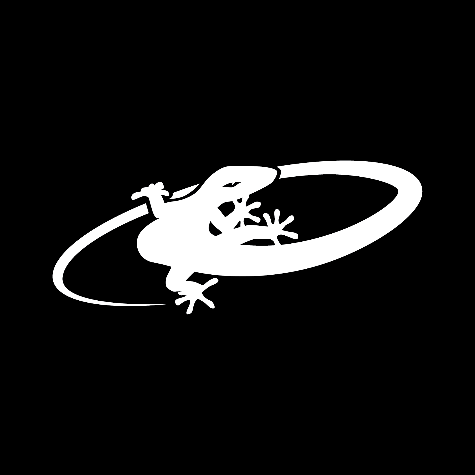 Lizard Skins