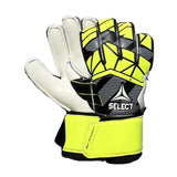 Soccer Goalkeeper