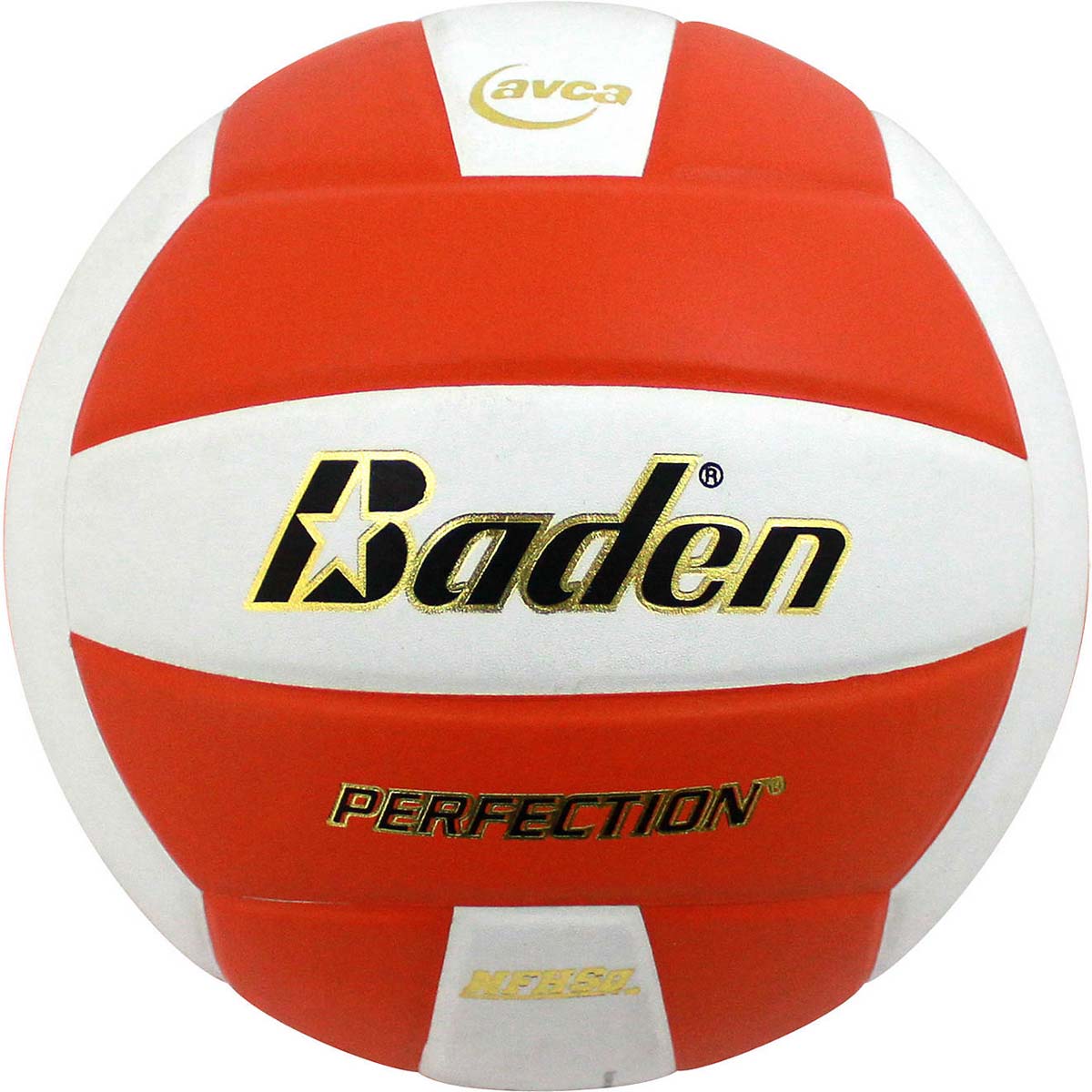Baden Perfection Leather Court Volleyball