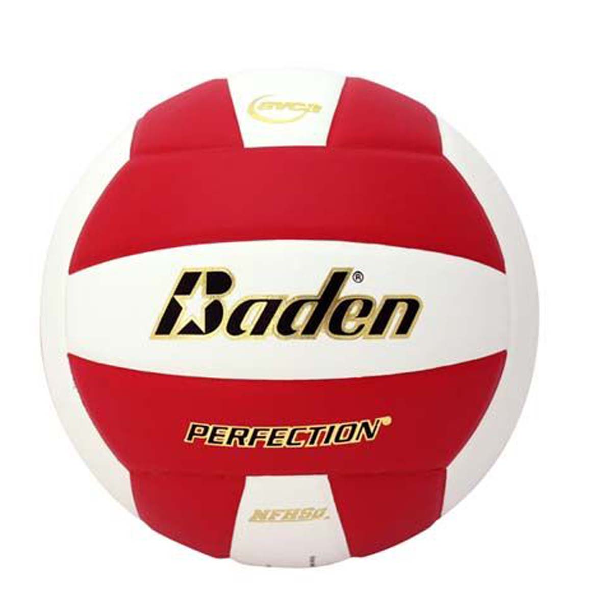 Baden Perfection Leather Court Volleyball