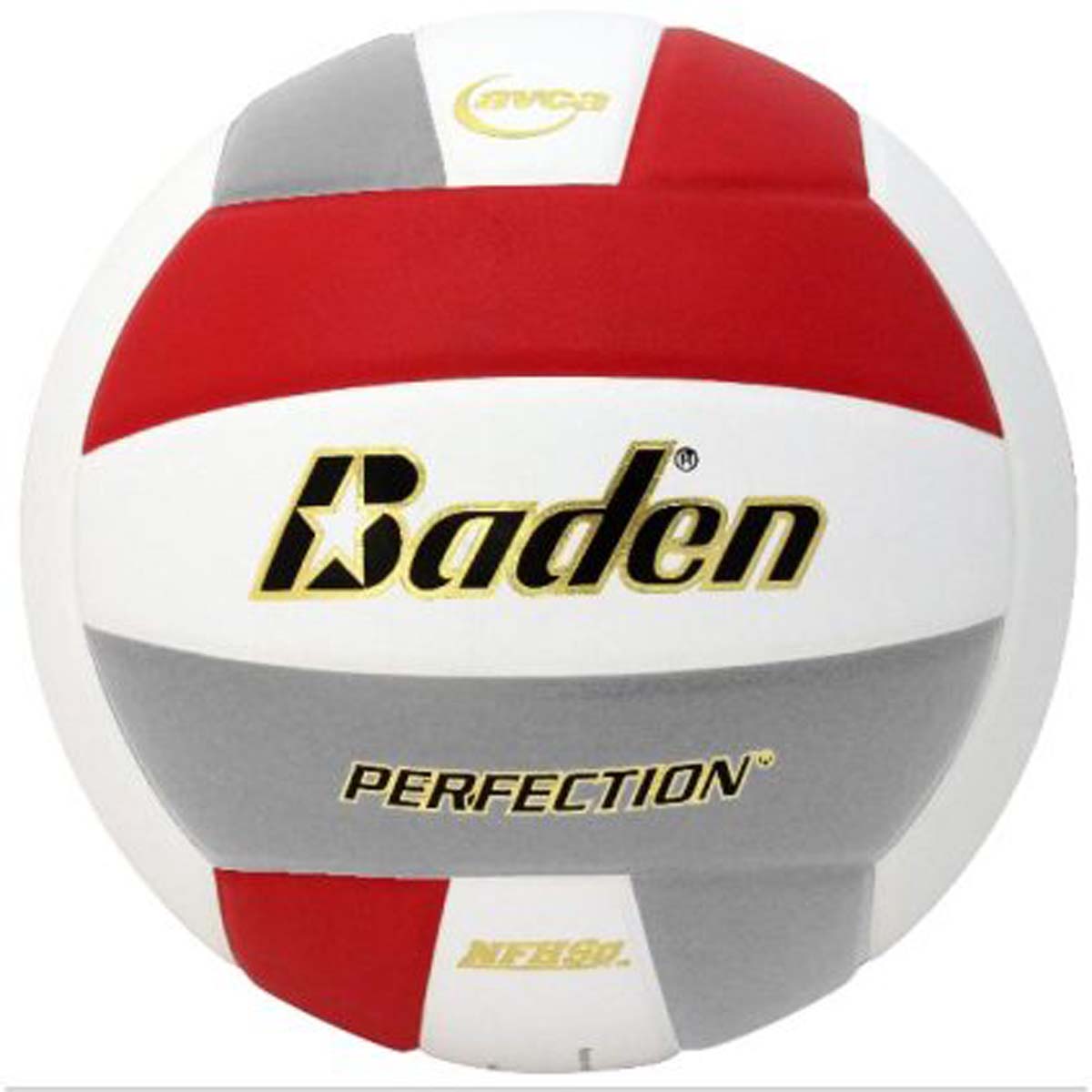 Baden Perfection Leather Court Volleyball