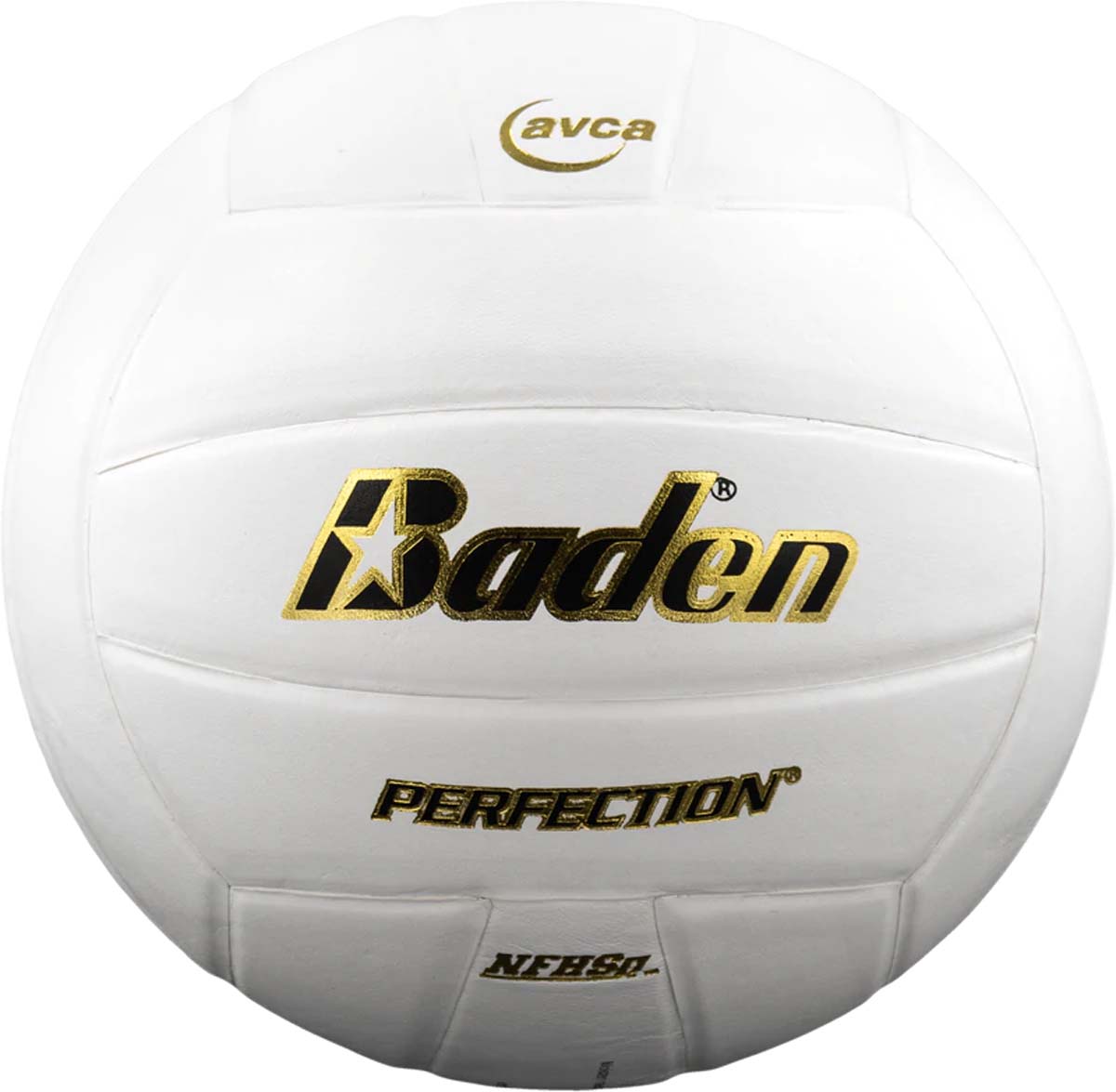 Baden Perfection Leather Court Volleyball