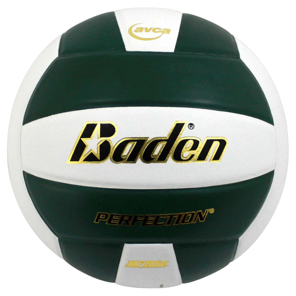 Baden Perfection Leather Court Volleyball
