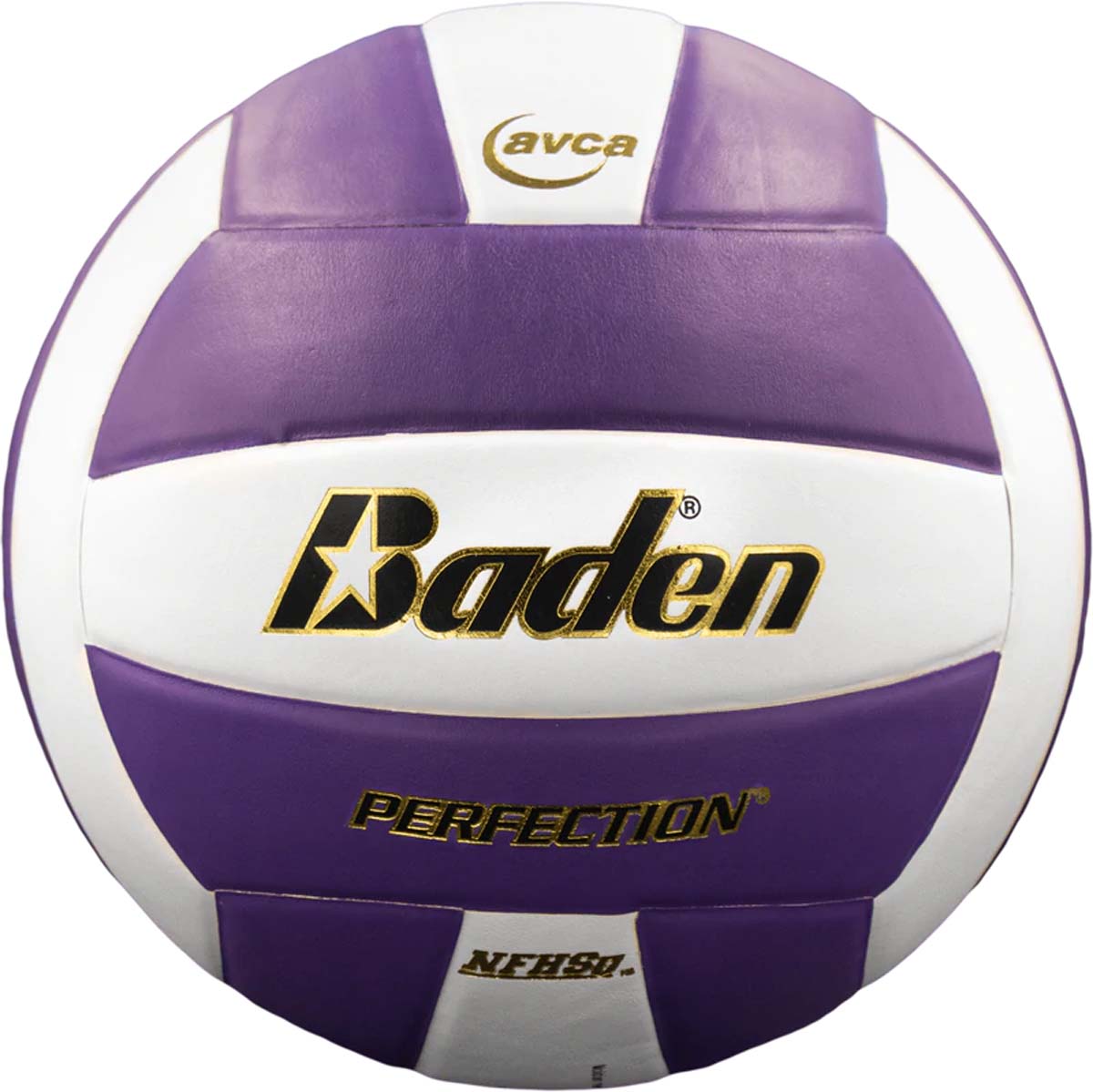 Baden Perfection Leather Court Volleyball