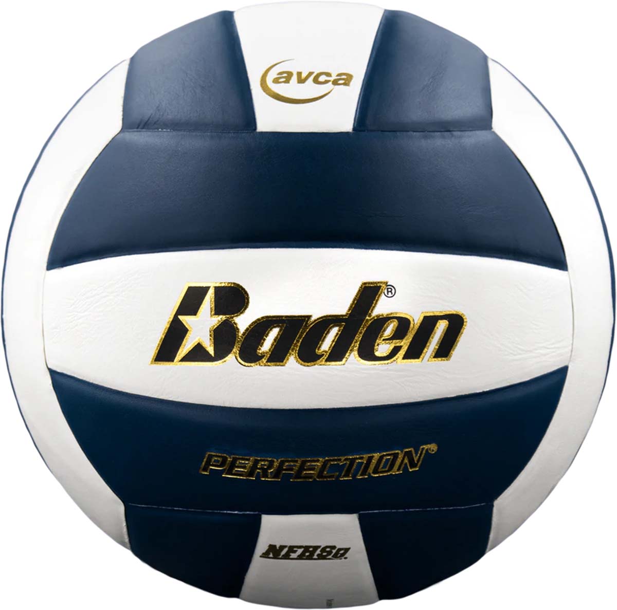 Baden Perfection Leather Court Volleyball