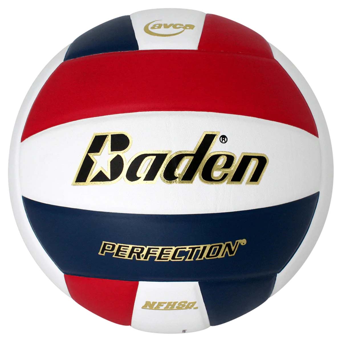 Baden Perfection Leather Court Volleyball