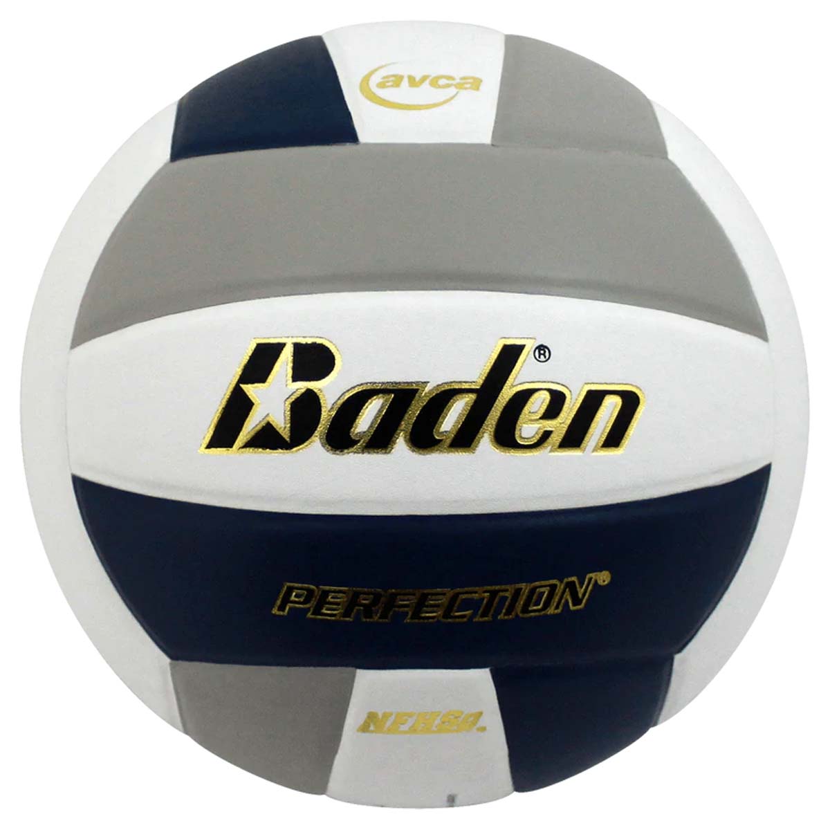 Baden Perfection Leather Court Volleyball