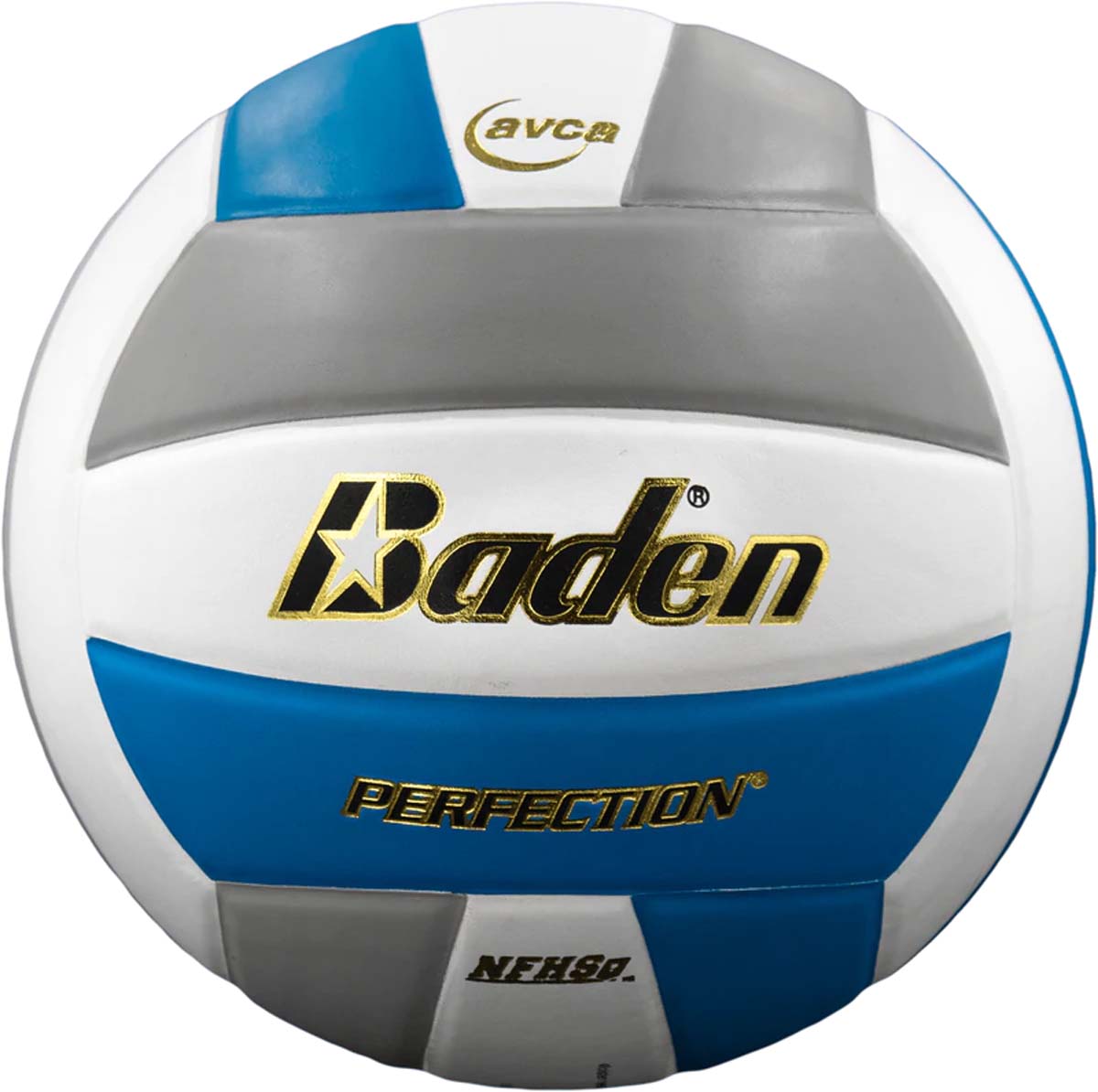 Baden Perfection Leather Court Volleyball