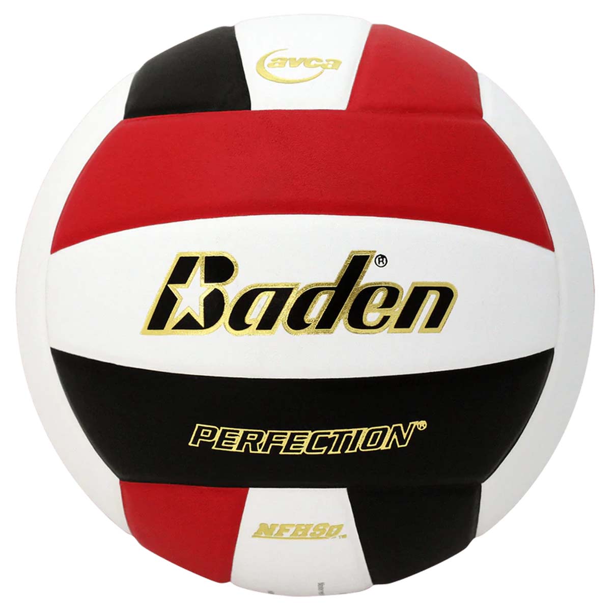 Baden Perfection Leather Court Volleyball